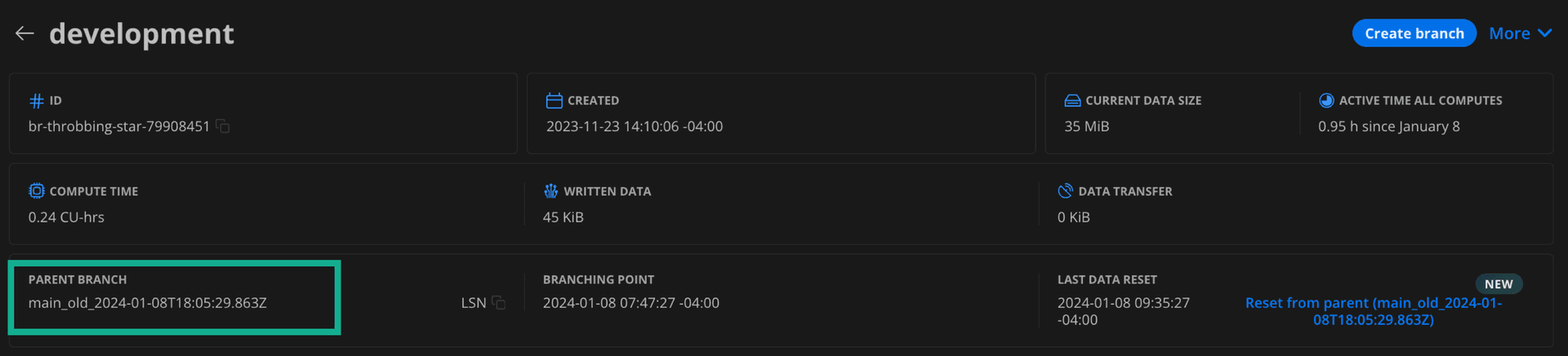 Backup branch created after restore