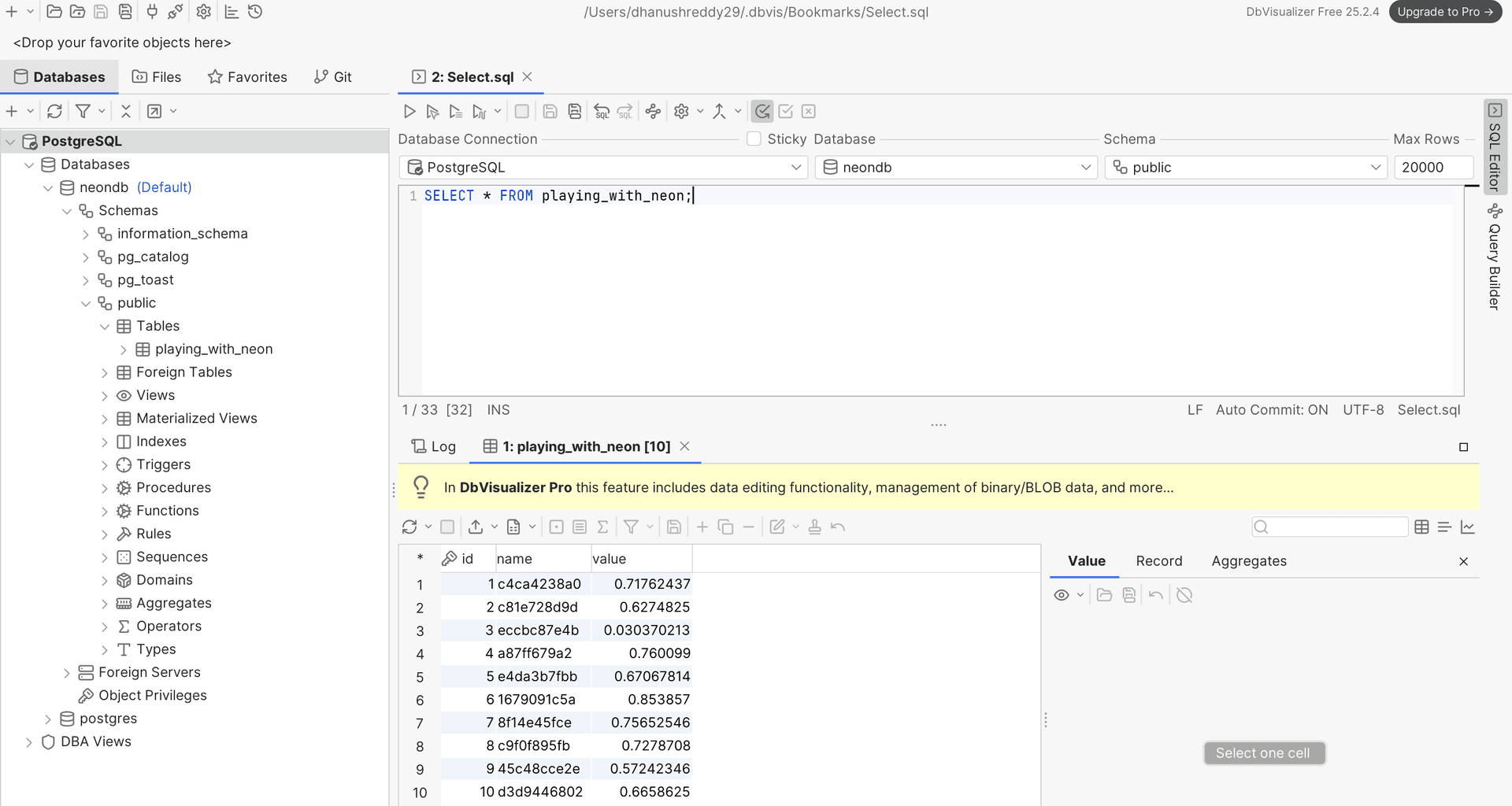 Running SQL Queries in DbVisualizer